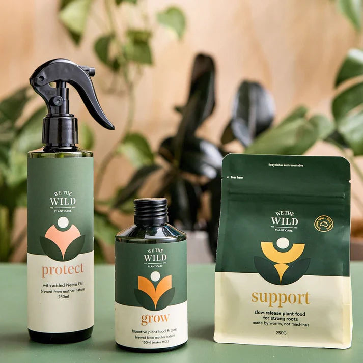 Plants & Plant Care