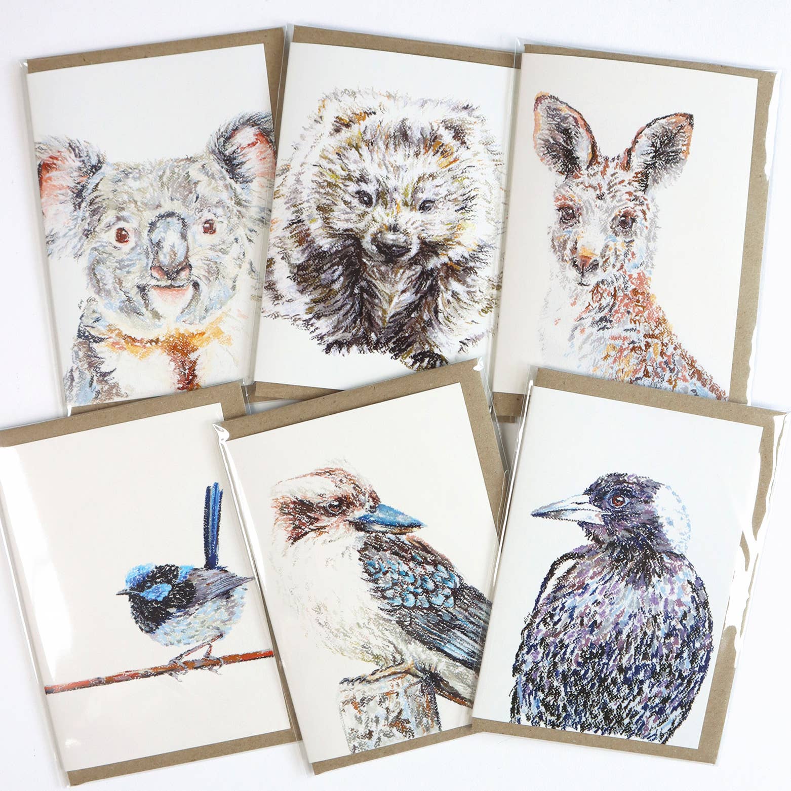 Cards by Julia Ockert | Superb Fairy-Wren