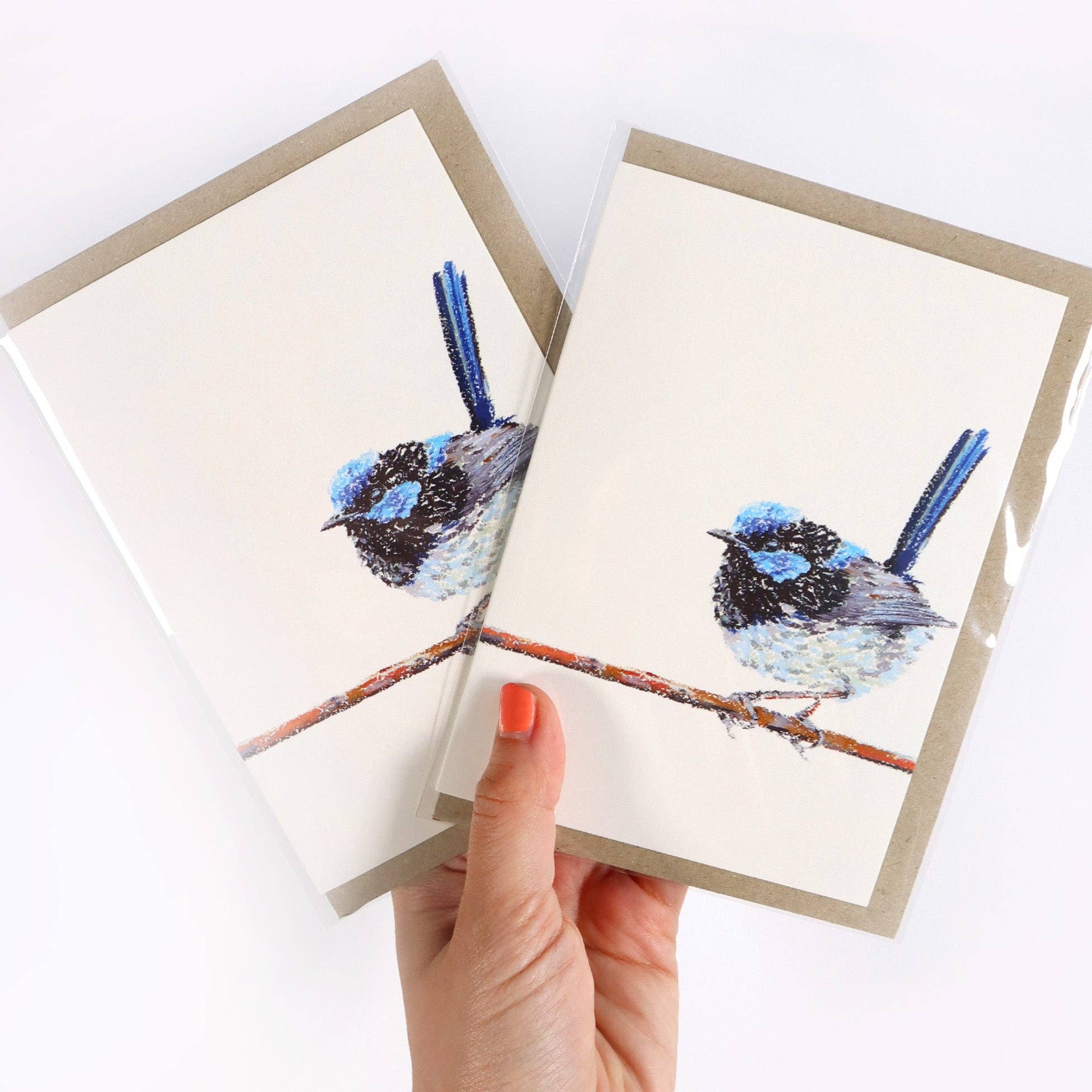 Cards by Julia Ockert | Superb Fairy-Wren