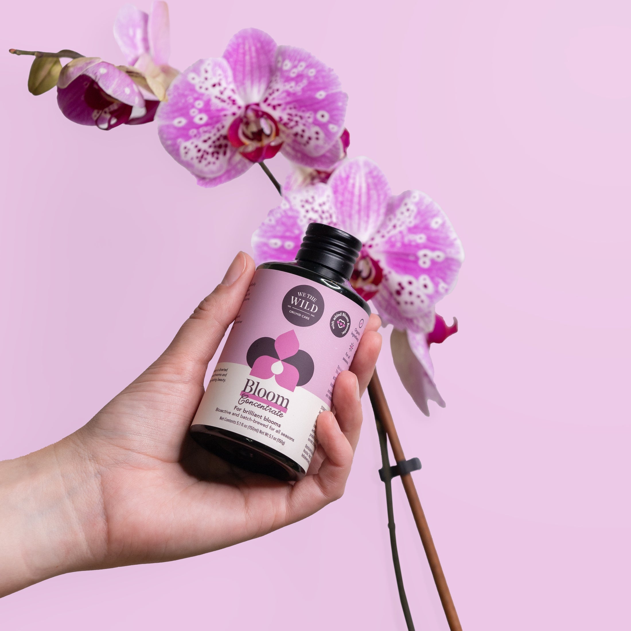 We The Wild Plant Care | Bloom Concentrate